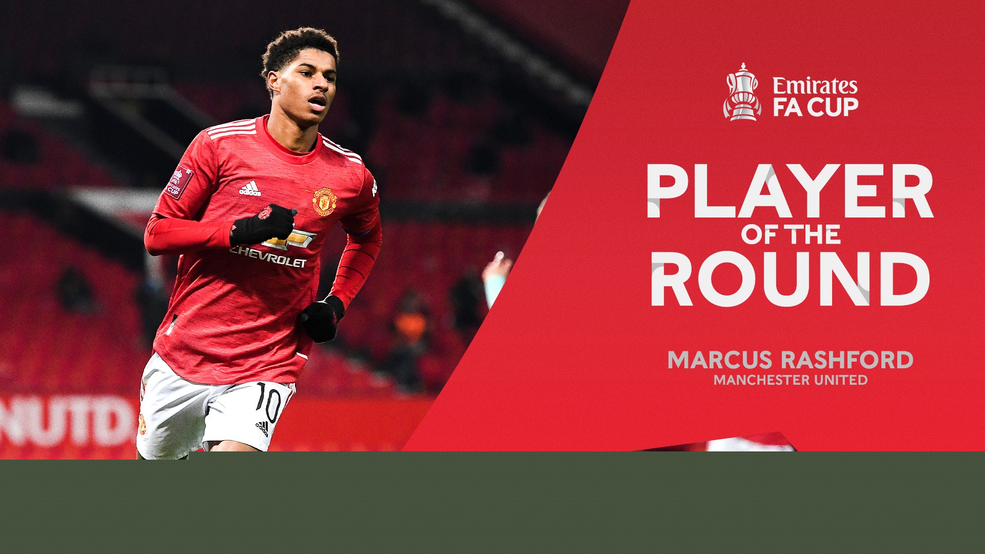 政府画册设计、LOGO设计